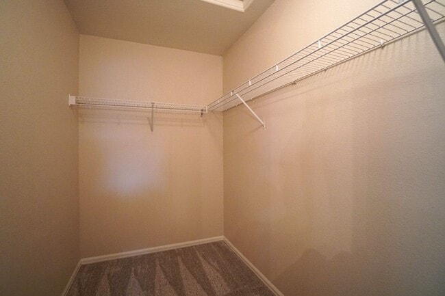 Building Photo - 862 Red Thistle View