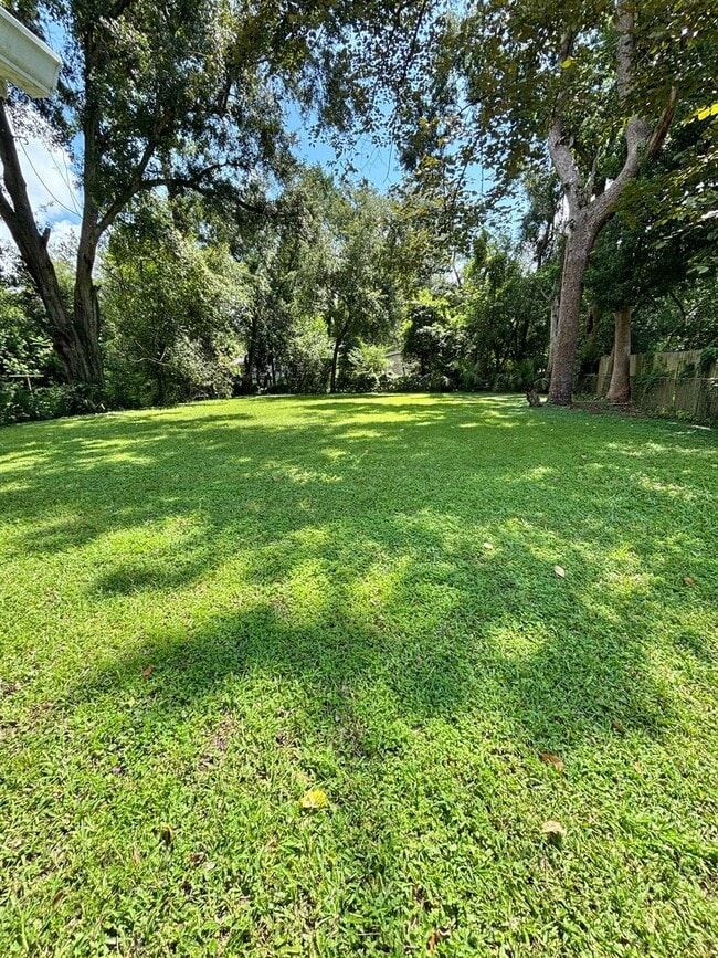 Building Photo - House Near Campus With Yard