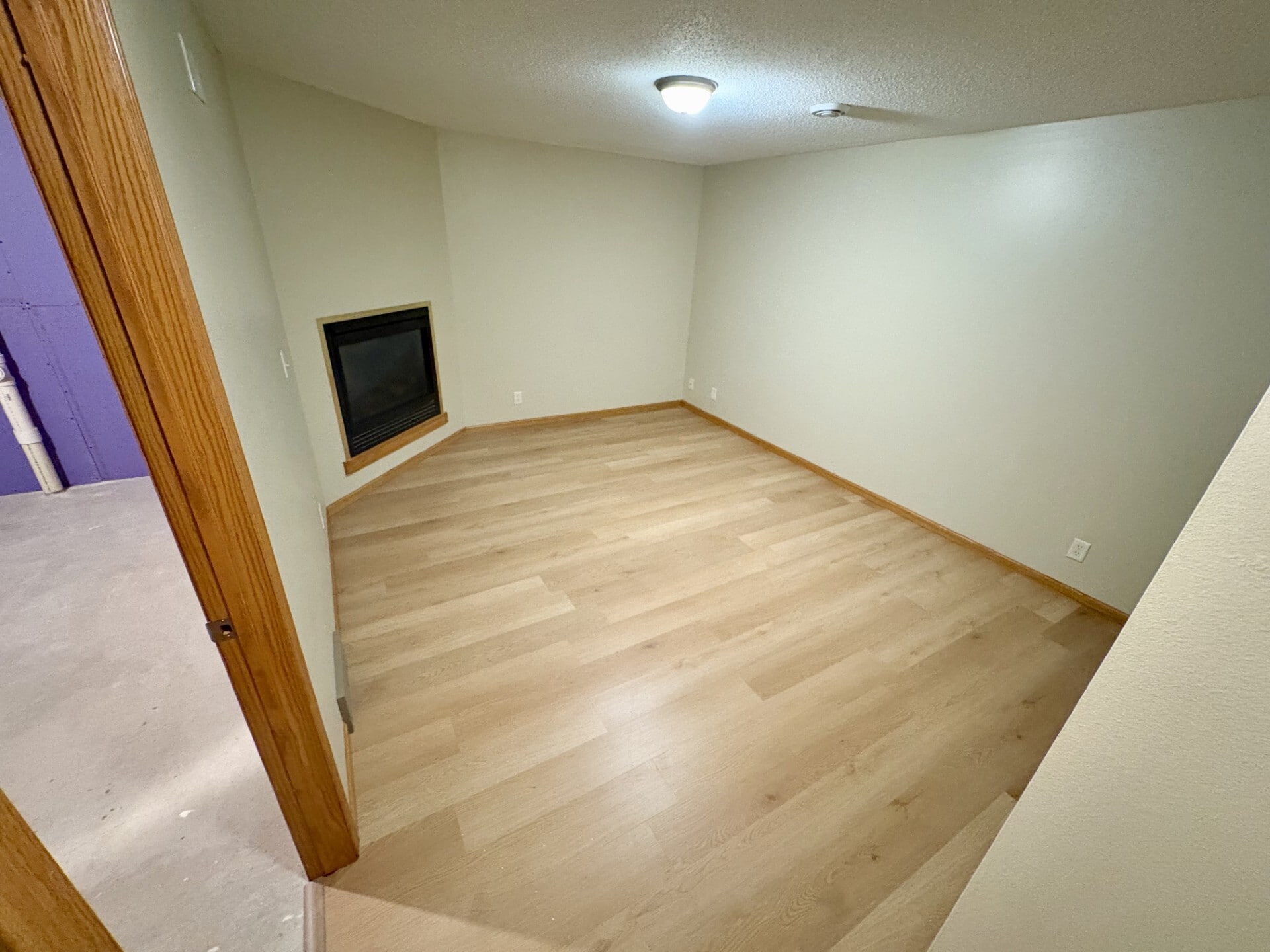 Basement Living Room - 1710 Menomonie St
