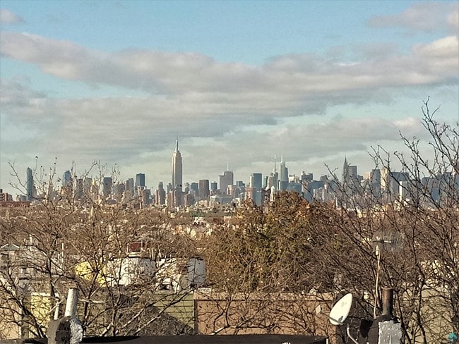 Building Photo - 691 Chauncey St