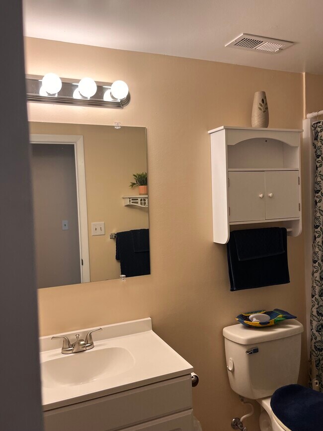 Bathroom - 4220 Crystal Ct