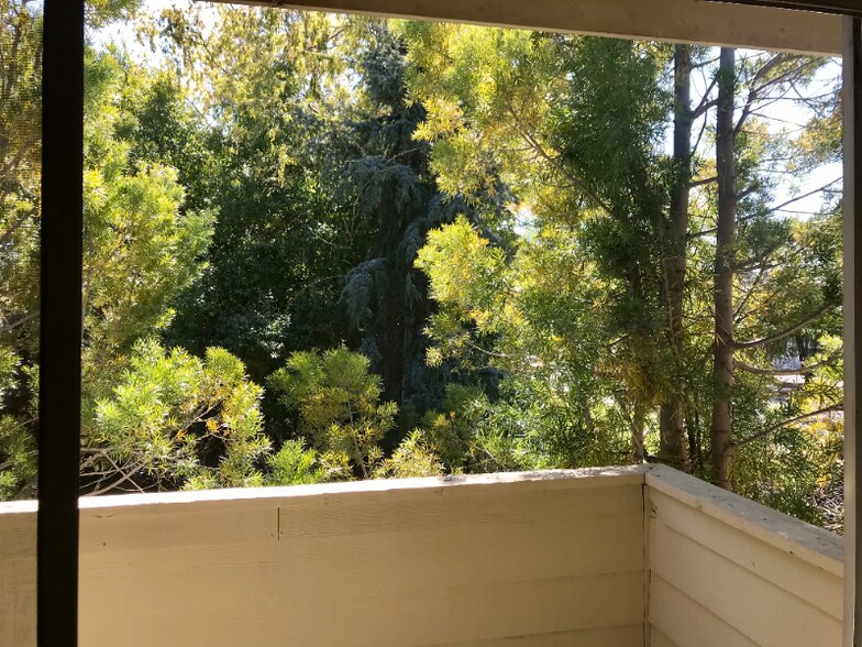 Building Photo - 1020 Dolores St