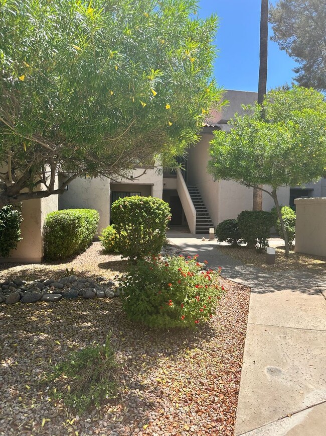 Building Photo - Condo In the Heart of Scottsdale