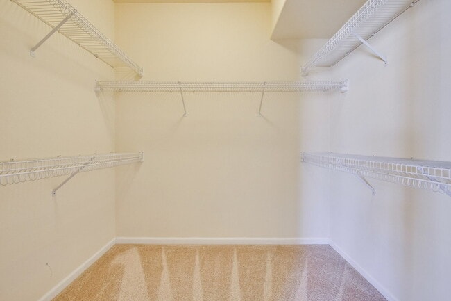 Building Photo - Large, Bright and Beautiful 3BR/2.5BA/2,195sf home in great condition!