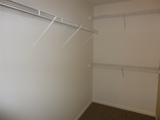 Building Photo - 1771 Elijah Blue Dr