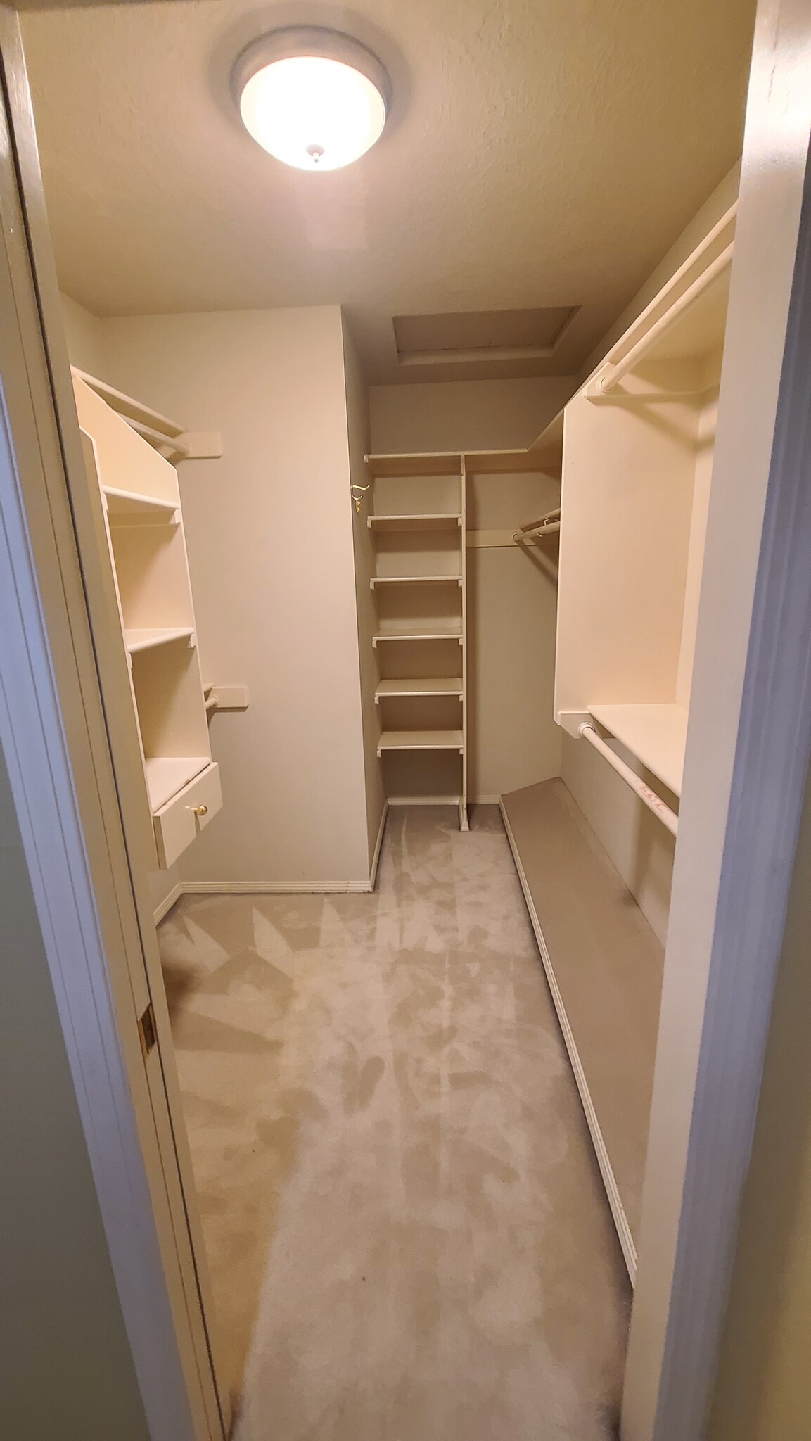 View into Walk in closet - 13940 SW Secretariet Ln