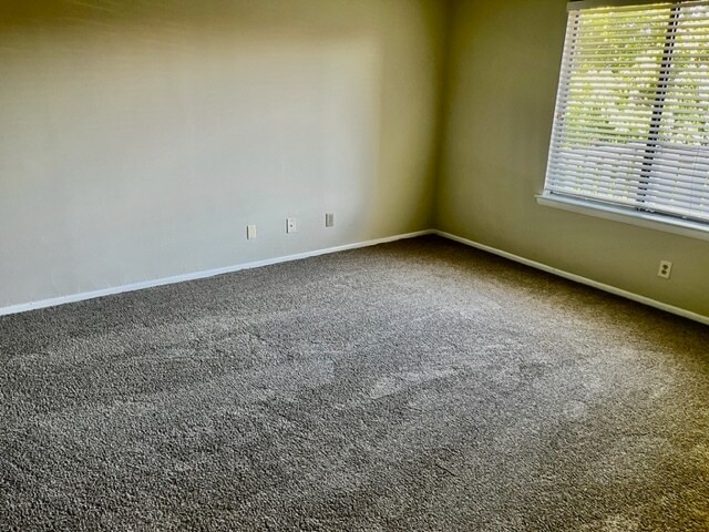 Building Photo - 2514 Sussex Ct