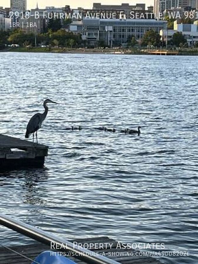Building Photo - Portage Bay Floating Home