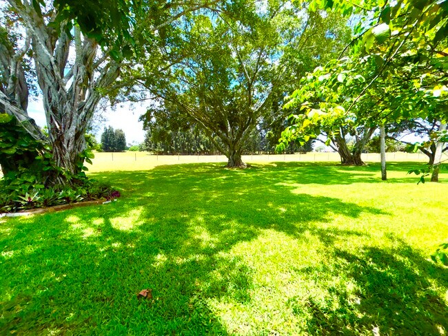 Building Photo - 4807 Esedra Ct