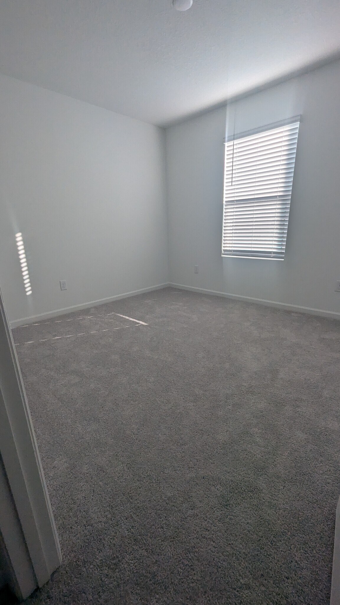 Building Photo - 559 Holly Lakes Dr