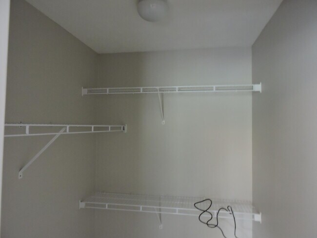 Building Photo - 207 Swaying Pine Ct