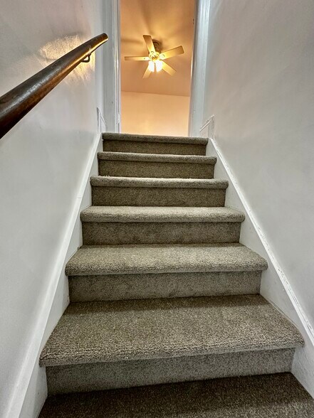 New Carpet on Steps - 227 Hamilton Ave