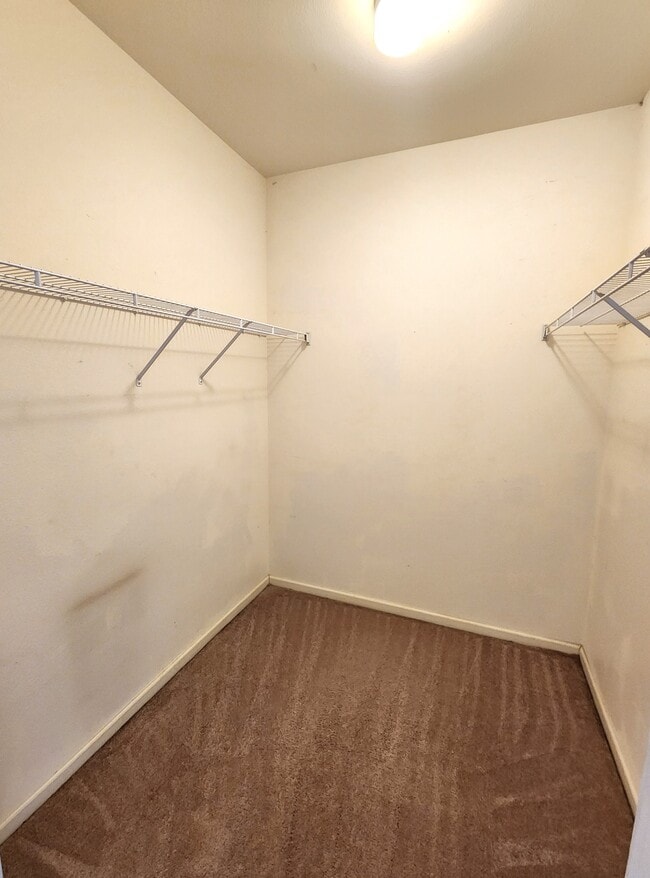 Building Photo - 3846 E Canyon Ranch Rd