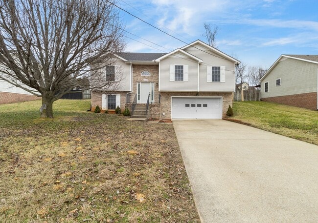 Building Photo - 1037 Persimmon Ct