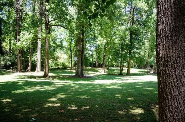 Building Photo - 157 Kentucky Cir