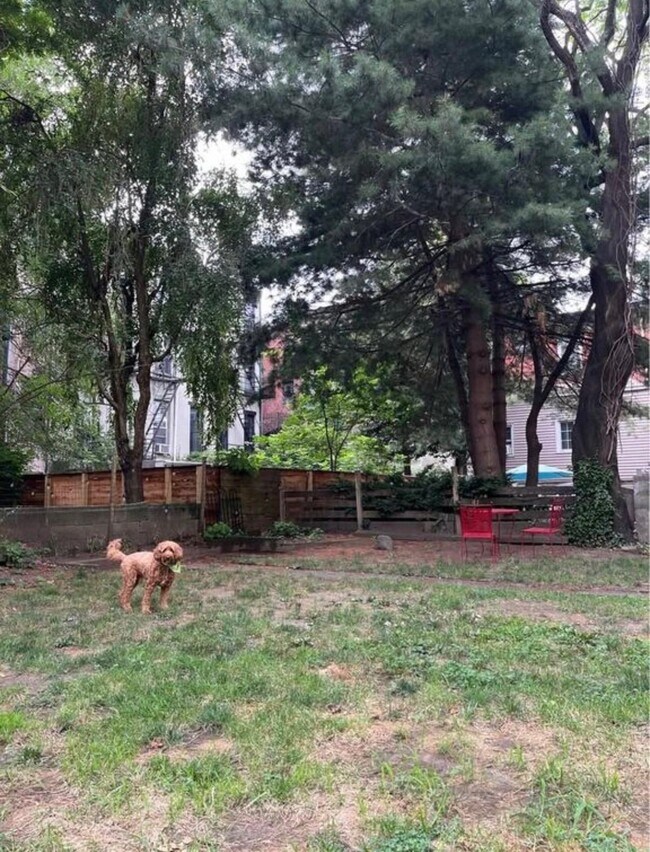 Building Photo - 1013 Park Ave