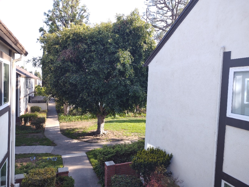 Building Photo - 15504 Williams St