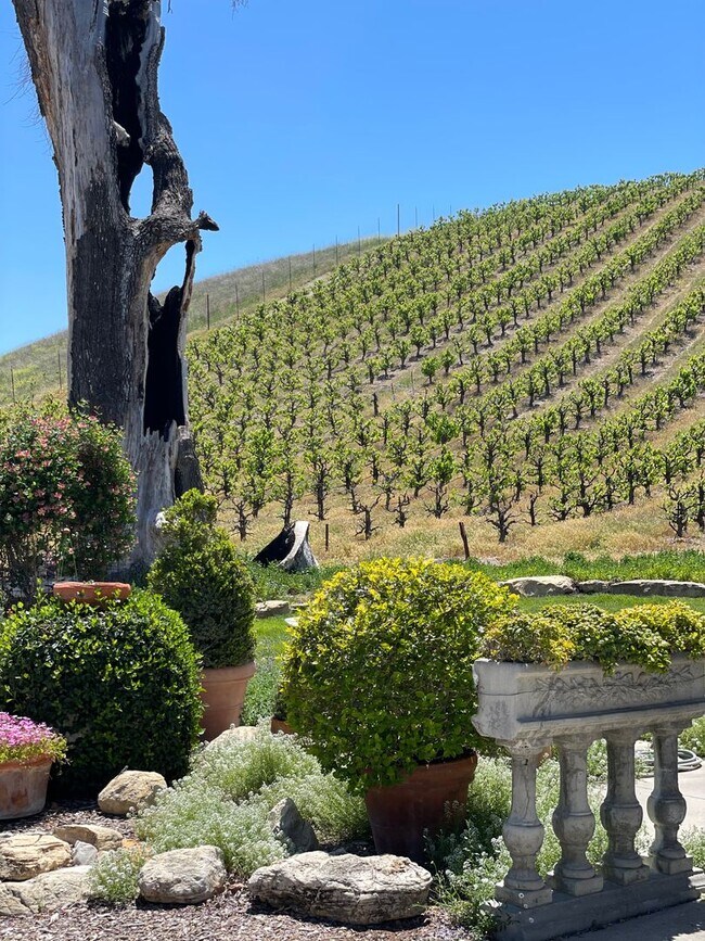 Building Photo - Gorgeous Wine Country 3 Bedroom 2 Bath Sin...