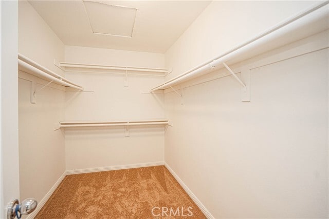 Building Photo - 2849 Wisteria Ln