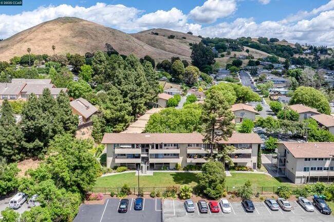 Building Photo - 2345 Paloma Ct