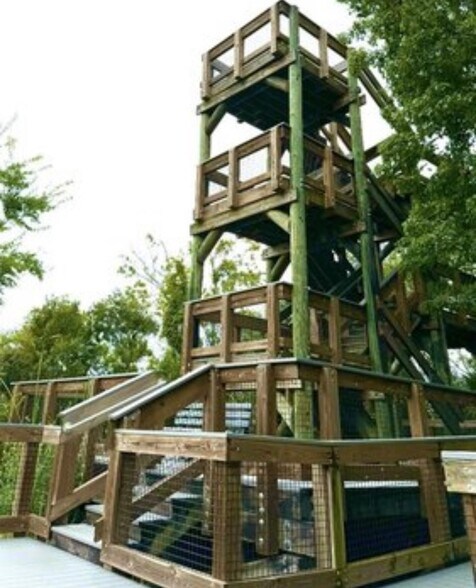 Building Photo - 4399 Brooker Creek Dr