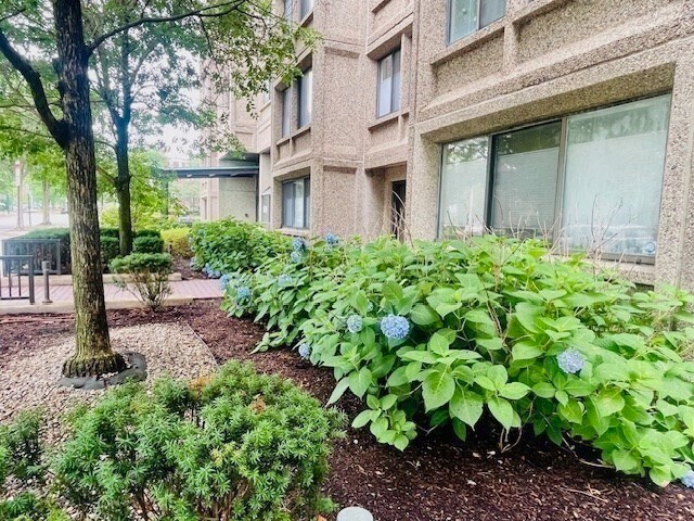 Building Photo - 1731 Beacon St