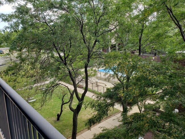 view outside at pool - 2605 S Indiana Ave