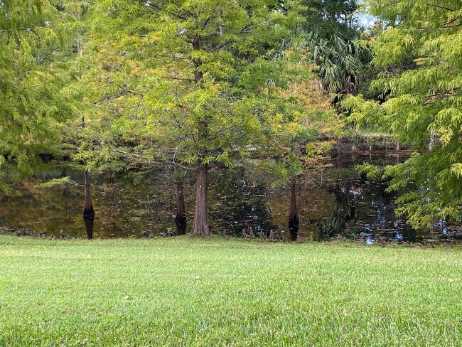 Building Photo - Townhome in Gated Community in the heart of Oviedo