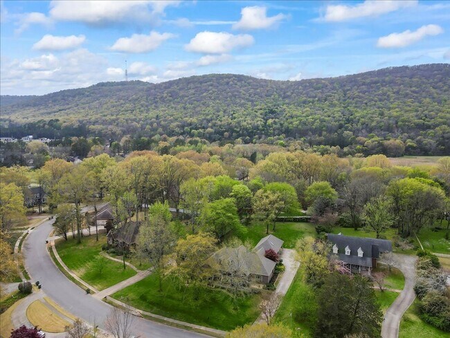 Building Photo - Stunning 3 bed 2.5 bath home in Cove Creek...