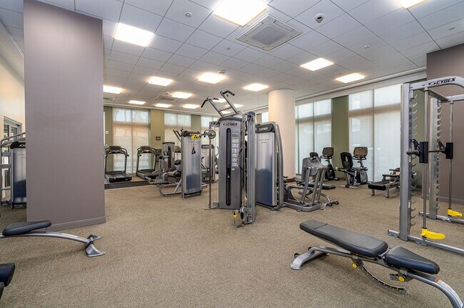 Building Photo - Stylish 1-Bedroom Unit at THE COLLECTION w...