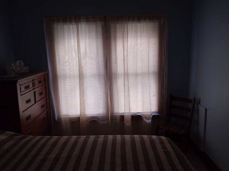 Bedroom Window - 255 Wilcox St