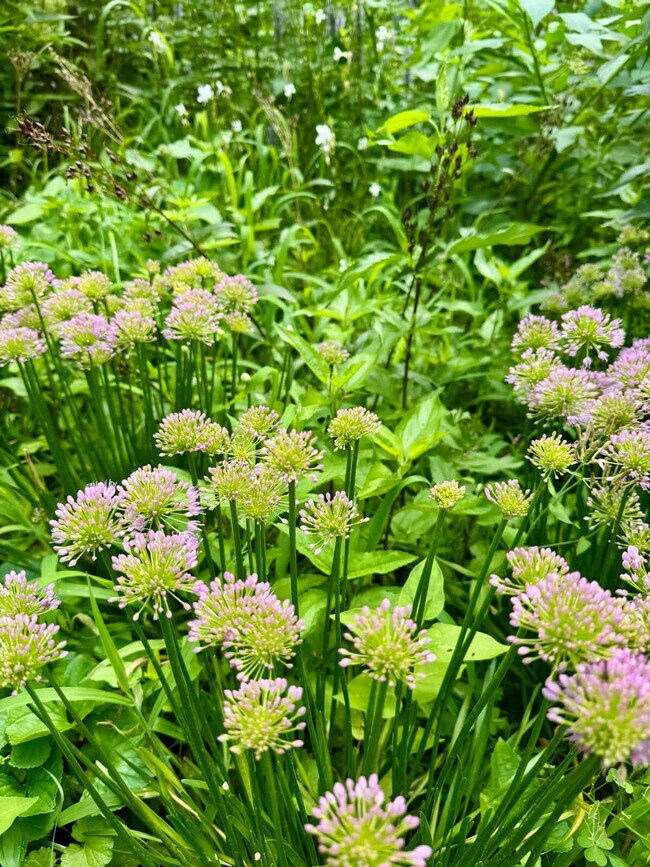 Building Photo - 54 River Dr