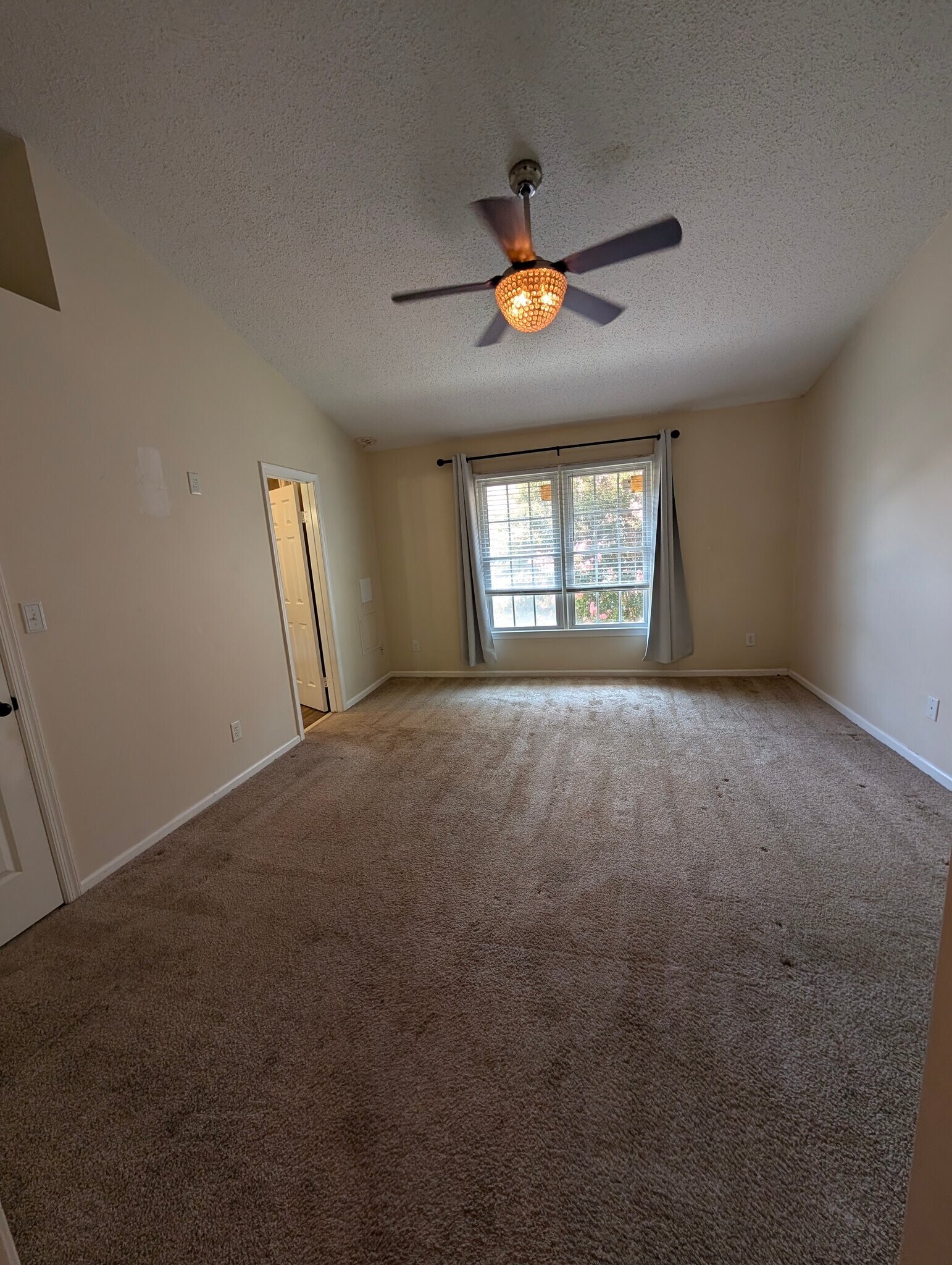 Building Photo - 4211 Minnard Ct