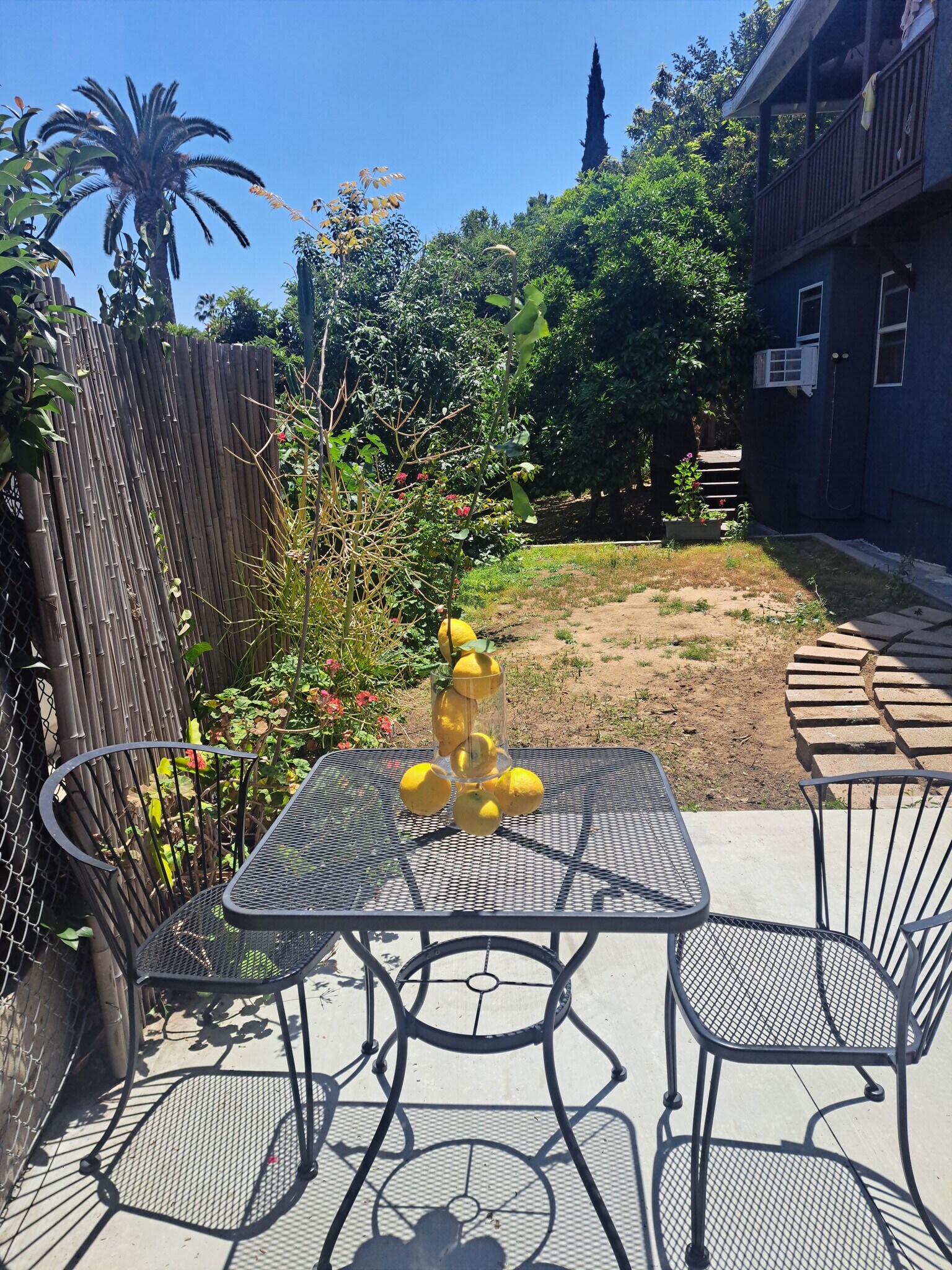 side yard - 1972 Avalon St