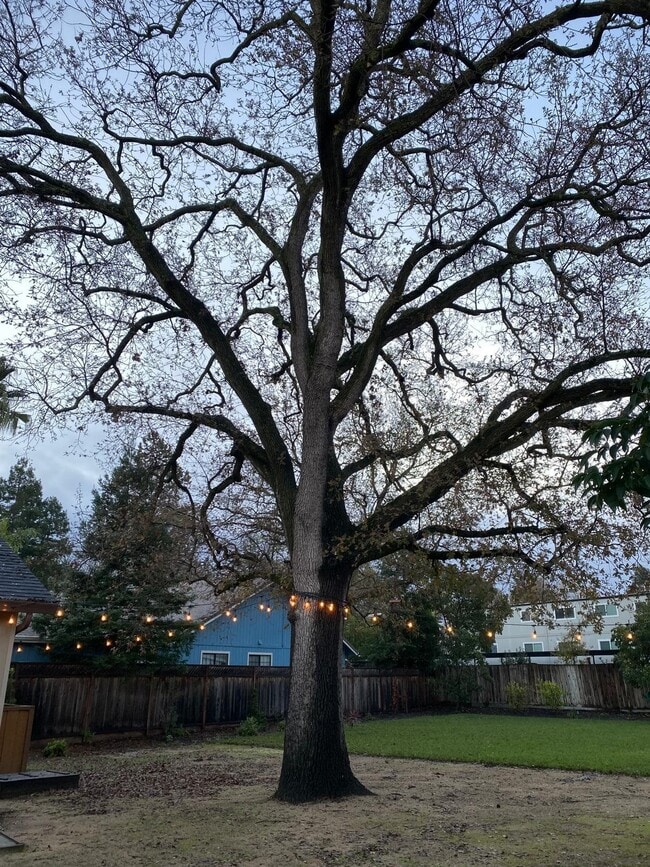 Building Photo - 164 Vía Del Sol