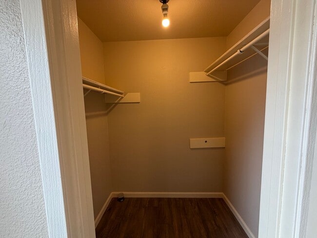 Building Photo - Charming Single-Story Home Near 1604 & Culebra