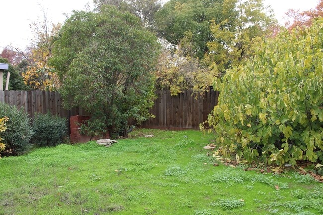 Building Photo - 3 Bedroom, 2 Bath in Single Family Home with BONUS Room Close to Downtown Pittsburg/BART