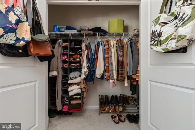 Building Photo - 3538 Stella Blue Dr