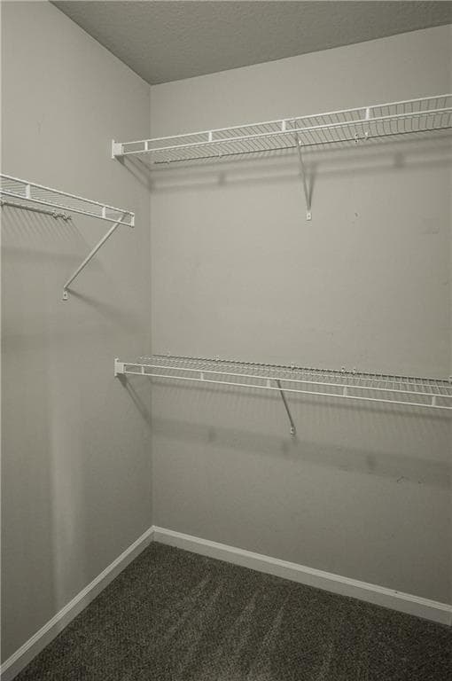 Building Photo - 691 River Mist Cir