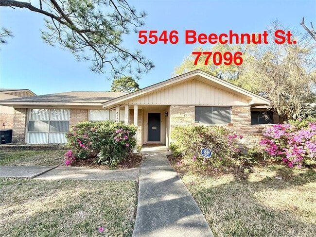 Primary Photo - 5546 Beechnut St