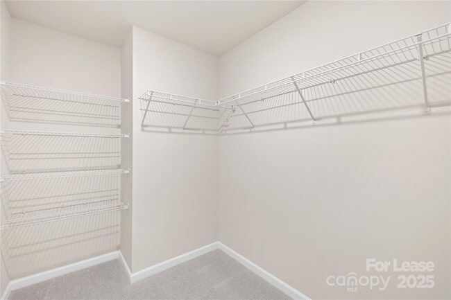 Building Photo - 13239 Hampton Bay Ln