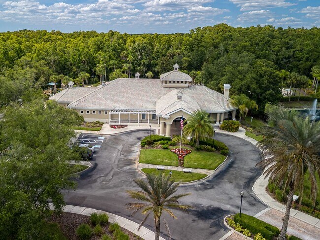 Building Photo - Tampa Palms Condo