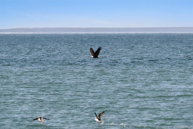 Building Photo - 1100 Huntington Blvd