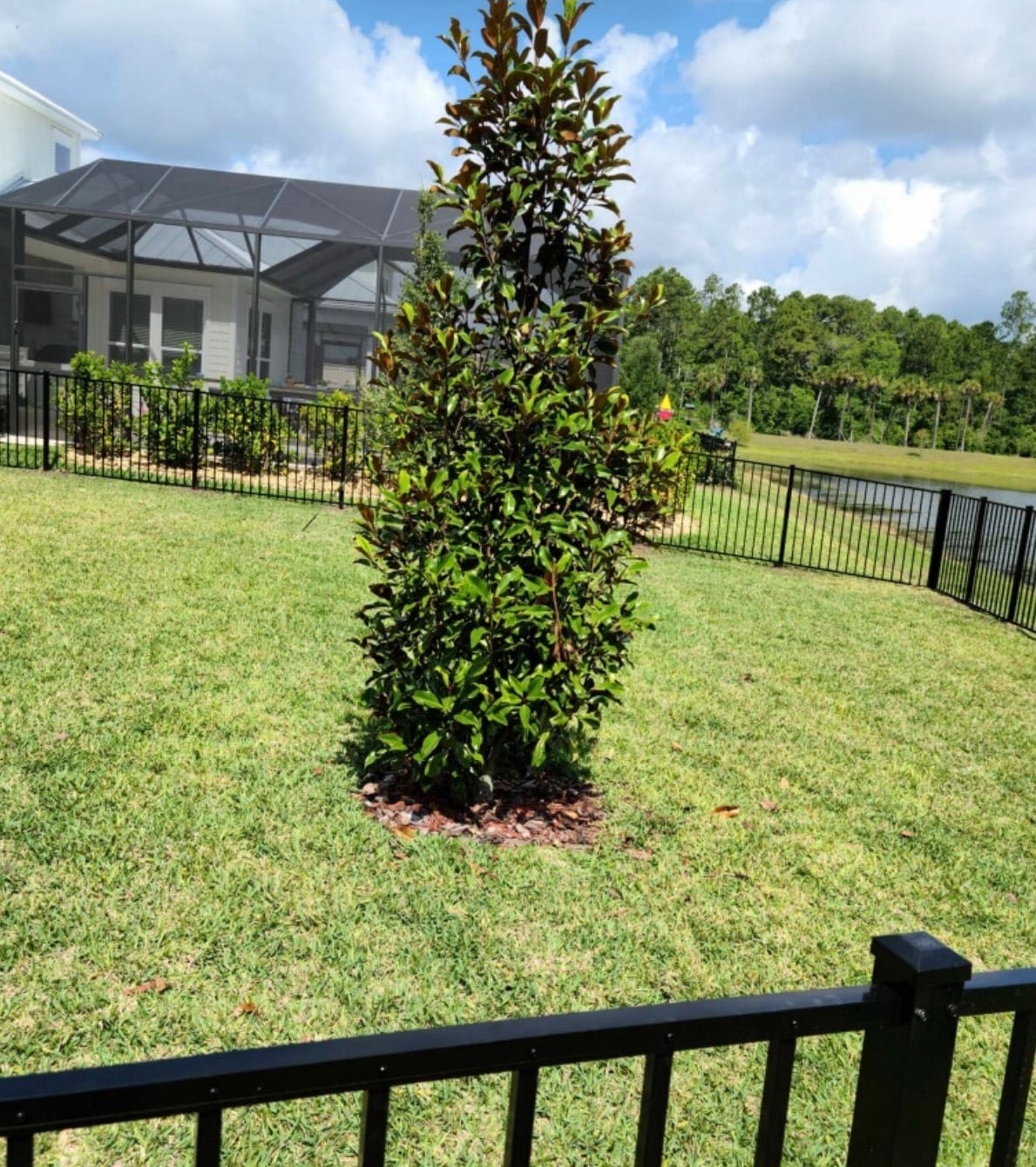 Building Photo - 363 Caribbean Pl