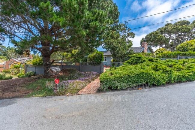 Building Photo - 2937 Lupin Ln