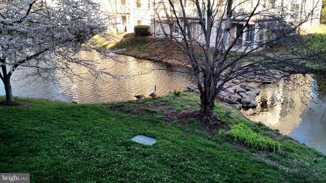 Building Photo - 20602 Cornstalk Terrace