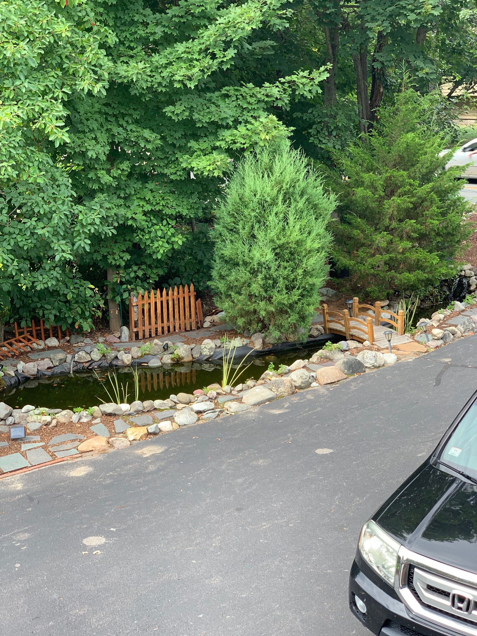 Fish pond along driveway - 421 Oakhill Ave