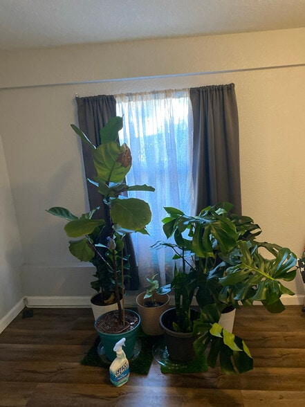 Building Photo - 10529 Keuka Dr