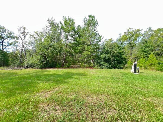 Building Photo - INCREDIBLE 3 Bedroom, 2 Bathroom Home In Ocklawaha!!