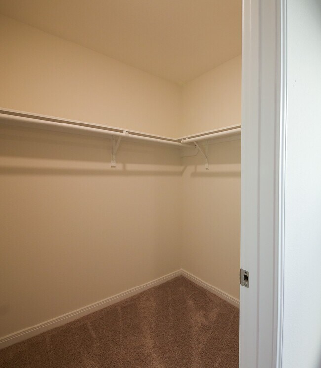 Building Photo - 9407 Castillo Ct